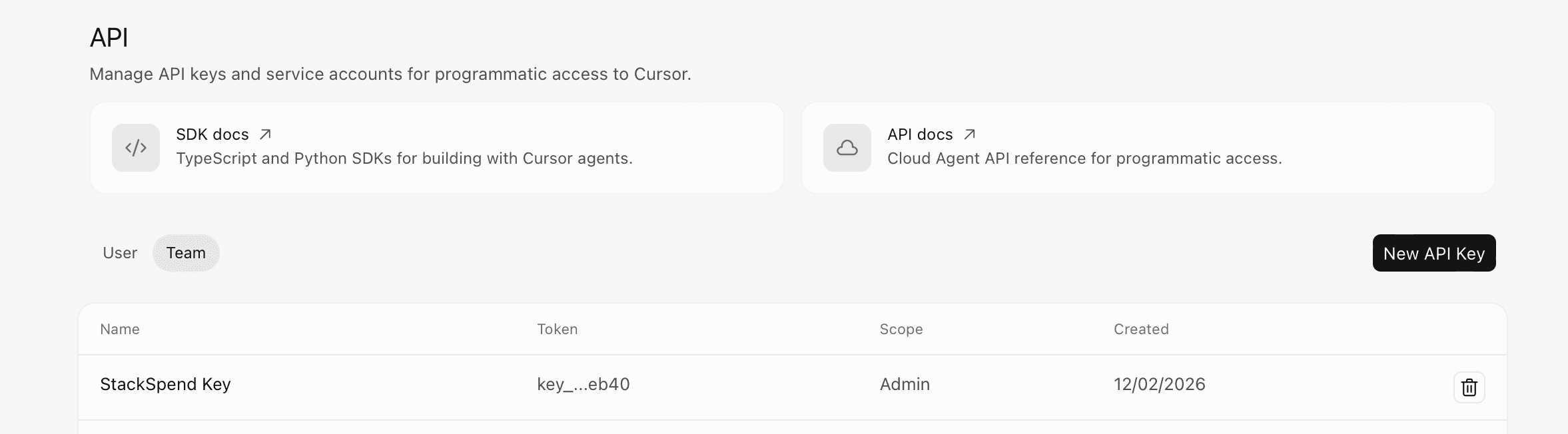 Select the Team tab, then click New API Key
